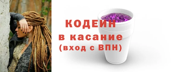 прущие грибы Верхний Тагил