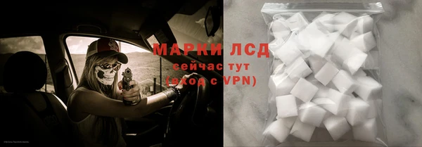 прущие грибы Верхний Тагил