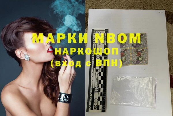 прущие грибы Верхний Тагил