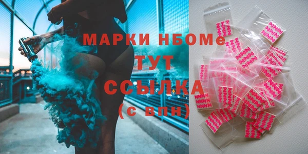прущие грибы Верхний Тагил