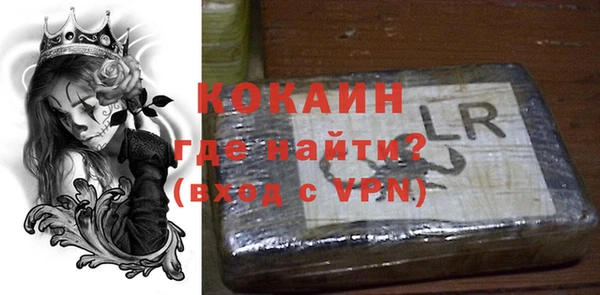 прущие грибы Верхний Тагил