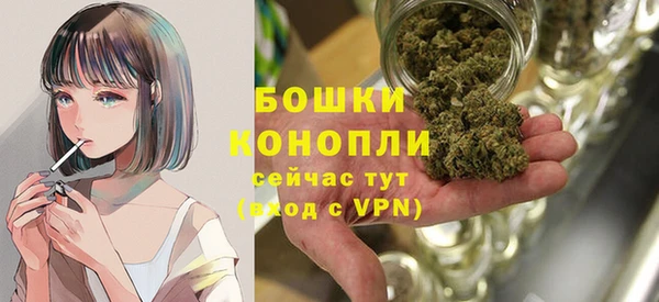 прущие грибы Верхний Тагил