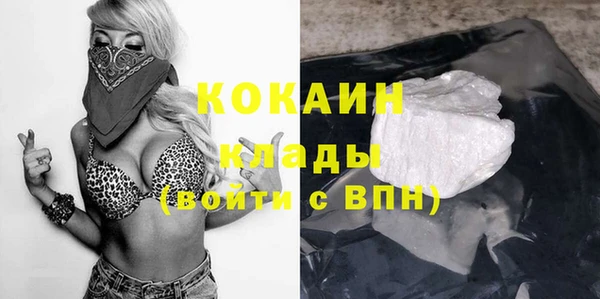 прущие грибы Верхний Тагил